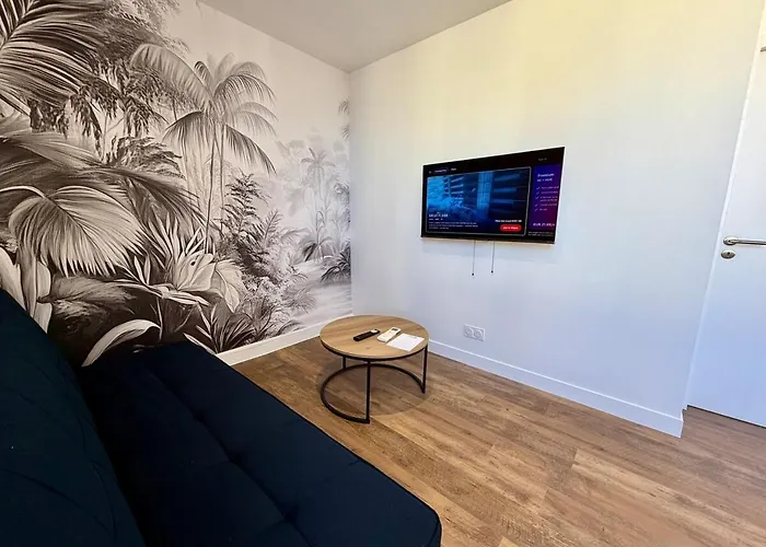 T2 Moderne Et Cosy, Lumineux, Apartment La Roche-sur-Yon